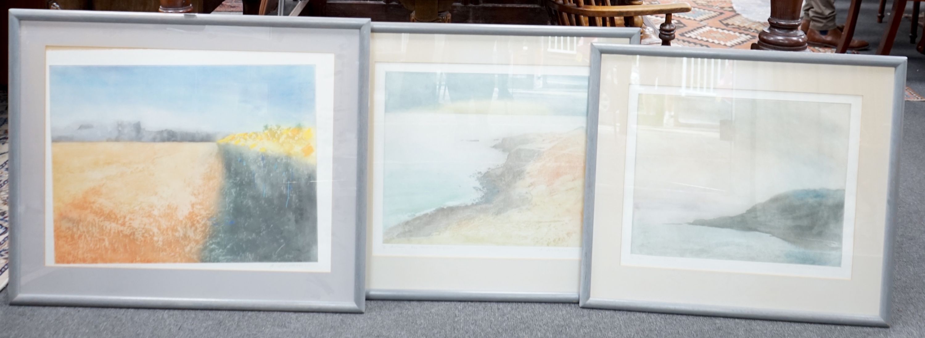 Donald Wilkinson (1937-), three screenprints, 'Camus Nan Gael', 'Autumn Eigg' and 'Edge of the Sunflower field, Provence', all signed in pencil, largest 48 x 63cm